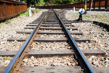 Wall Mural - The Forest Railway passes through the Alishan Forest Recreation Area in Chiayi, Taiwan.