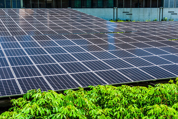 Wall Mural - Photovoltaic panels for renewable electrical energy production in Taiwan.