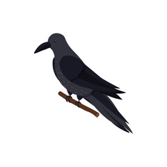 Poster - Black Bird Icon