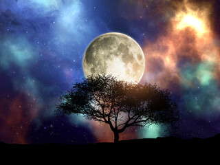 Wall Mural - 3d silhouette of a tree against a space sky with moon