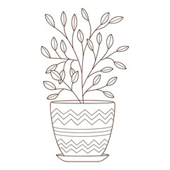 Sticker - A houseplant in a pot with a pattern. Decorative design element with an outline. Doodle, hand-drawn. Black white vector illustration. Isolated on a white background