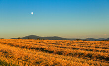 Moon In The Blue Sky Over Fields Gilded By The Setting Sun