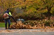 © Supinda Duke-Aiton - A man operating leaf blower to clean up the dried autumn leaves in the park. Blurred background. Copy space.