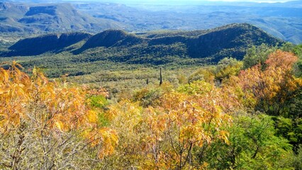 paisaje con montañas al fondo y un toque de color otoñal