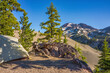 Back country campsite with small tent and a view of pumice covered moraine, fir trees on a cliff, and volcanic mountain peaks.