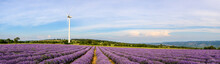 Lavender Field With Blooming Purple Bushes Grown For Cosmetic Purposes Near Burgas, Bulgaria. Wind Turbines In The Background. Panoramic View