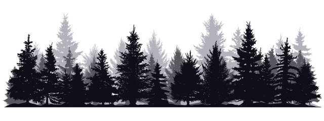 pine trees silhouettes. evergreen coniferous forest silhouette, nature spruce tree park view vector 
