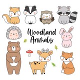 Fototapeta Fototapety na ścianę do pokoju dziecięcego - Draw collection cute woodland animal Doodle cartoon style