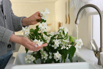 Canvas Print - Woman making bouquet with beautiful jasmine flowers in kitchen, closeup