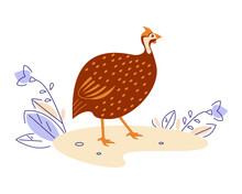 Guinea Fowl In Nature. Vector Illustration In Flat Cartoon Style.