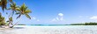 © JCB - Tropical beach panorama with palm tree and turquoise sea