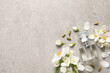 © New Africa - Bottle of luxury perfume and fresh jasmine flowers on light grey table, flat lay. Space for text