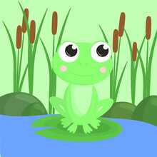 Cute Cartoon Baby Frog On The Background Of A Pond Or Swamp