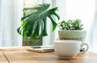 © Lek - Soft focus of white coffee cup with small trees and green leaf in vase on wooden table near bright window