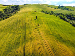 Wall Mural - Pienza, Italy May 20 2021- aerial view of the Orcia valley in spring with drone