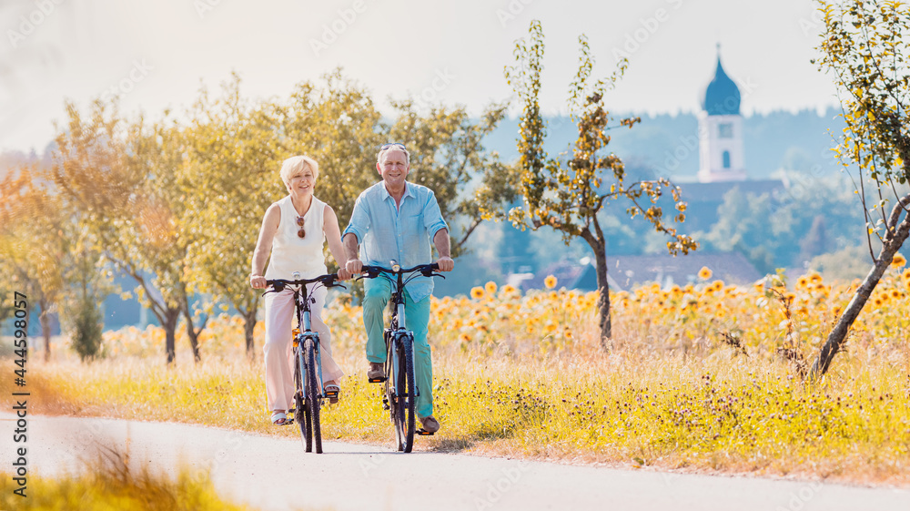 Senior couple, woman and man, riding their bikes along field of sunflowers - obrazy, fototapety, plakaty 