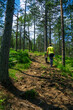 © dejanvuckovic - person walking a dog in the forest