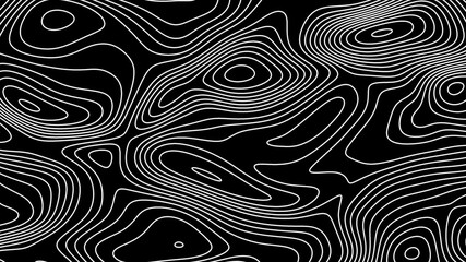 Fractal lines background. Topographic map like abstract backdrop