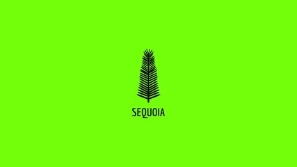 Poster - Sequoia leaf icon animation