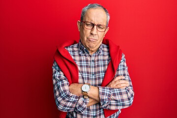 Canvas Print - Handsome senior man with grey hair wearing casual clothes and glasses depressed and worry for distress, crying angry and afraid. sad expression.