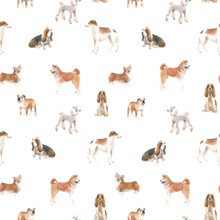Beautiful Vector Seamless Pattern With Cute Watercolor Hand Drawn Dog Breeds Cocker Spaniel Greyhound Basset Hound Poodle Bulldog And Welsh Corgi Pembroke . Stock Illustration.