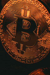 Wall Mural - Vertical shot of a bright golden bitcoin