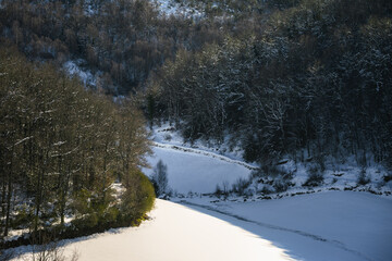 Wall Mural - Snowy meadows while a weak winter sun melts the snow on the bare branches of the trees