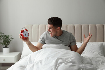 Canvas Print - Emotional man with alarm clock in bed. Being late because of oversleeping