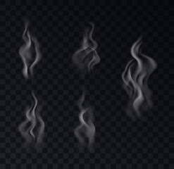 Wall Mural - Smoke realistic collection on transparent background. Set of white vapor steam, waves