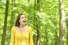 Amazed Woman Walking In A Forest Contemplating