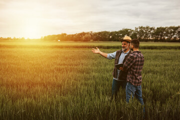 farmers talking on wheat field