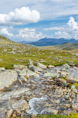 Canvas Print - Beautiful mountain landscape with a water stream