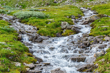 Wall Mural - Mountain river in the highland country