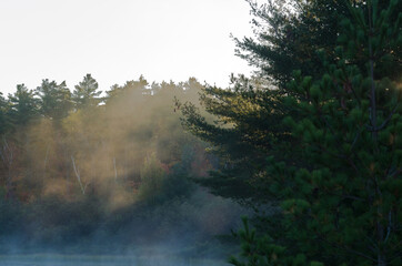 Wall Mural - Sunrise above forest lake