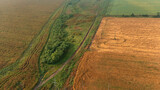 Fototapeta Do pokoju - Aerial view of fields with crops of wheat and other crops