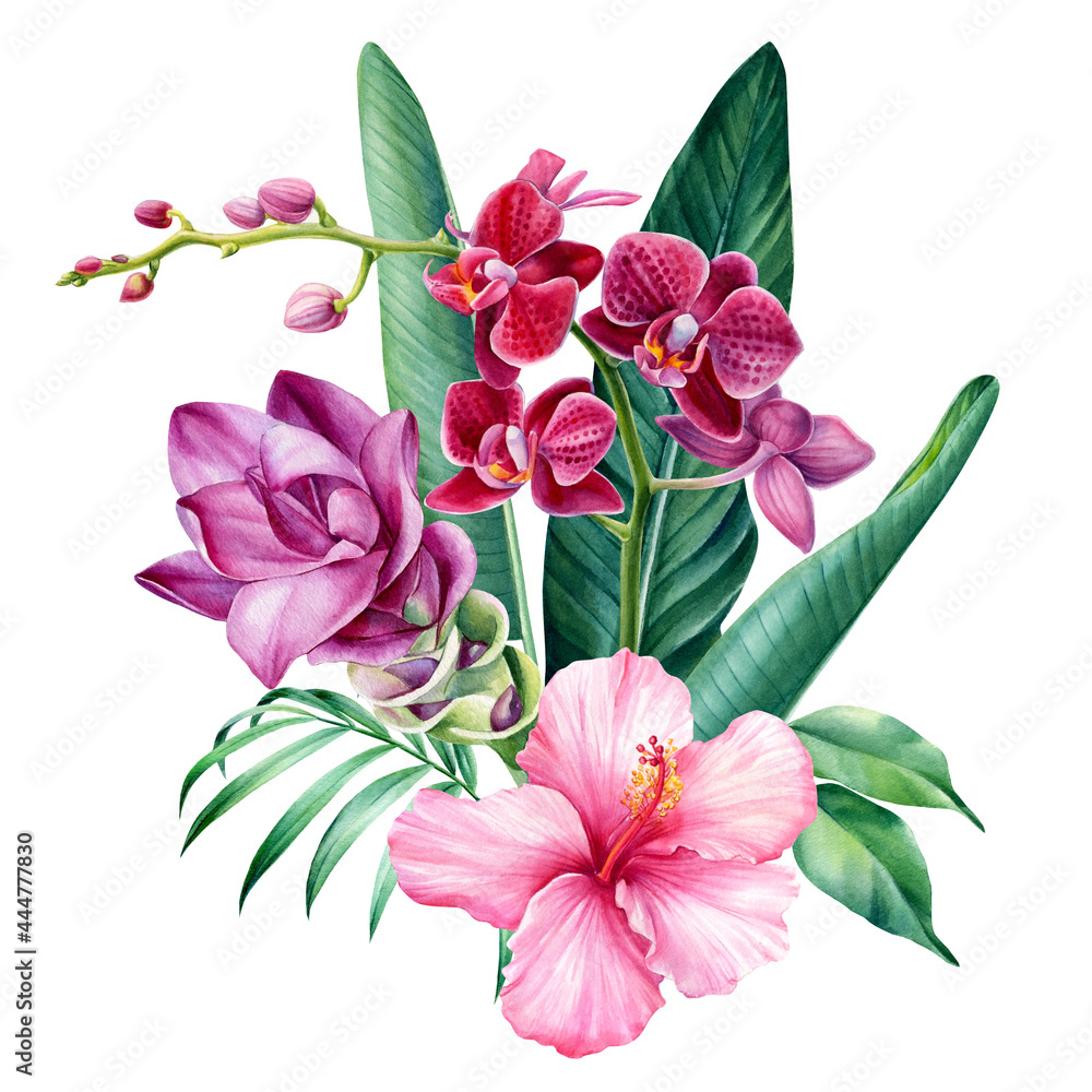 Bouquet tropical flowers on isolated white background, watercolor ...