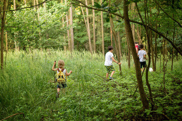 Poster - Children, playing in the forest on a summer day