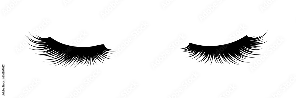 Eyelashes of closed eyes. Fashion illustration. False lashes. Black and white hand-drawn image. Vector EPS 10. - obrazy, fototapety, plakaty 