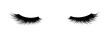 © Alice - Eyelashes of closed eyes. Fashion illustration. False lashes. Black and white hand-drawn image. Vector EPS 10.