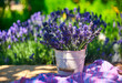 White vase with lavender bouquet on wooden table, on lavender field background