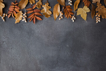 Poster - Autumn background with dried fall leaves border