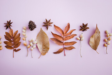 Wall Mural - Autumn floral design greeting card of dried leaves