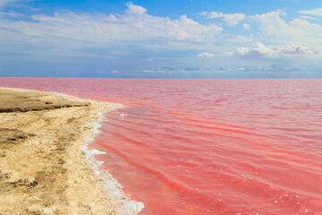 Poster - View of the pink salty Syvash lake in Kherson region, Ukraine