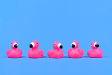 Pink Rubber Duck Flamingos In A Row On Blue Background With Copy Space
