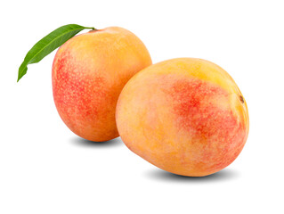 Wall Mural - Ripe mango isolated on white. Mango Clipping Path. Professional studio macro shooting