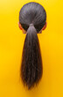 Back view ponytail damaged hair isolated on yellow background. Dry and brittle hair problem. Black long hair with a dry texture. Asian woman with weak, brittle, and unhealthy hair need spa.