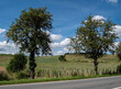 Weinanbaugebiet an der Saale-Unstrut in Sachsen-Anhalt