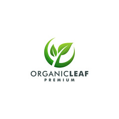 Wall Mural - Organic leaf logo design vector. nature leaves