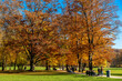 Urlaub im schönen München: Spaziergang im Herbst durch den Englischen Garten