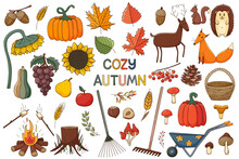 A Set Of Elements On The Theme Of Autumn. Forest Animals, Harvest. A Large Design Collection Of Colored Doodle Elements With A Stroke And Fill. Flat. Vector Illustration. Isolated On White